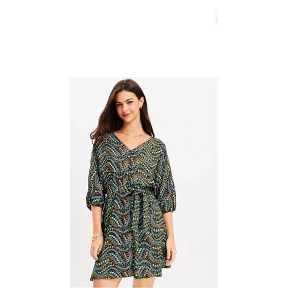Loft Colorful Garden Button Dolman Pocket Dress Tie Waist Size Small - Picture 2 of 8